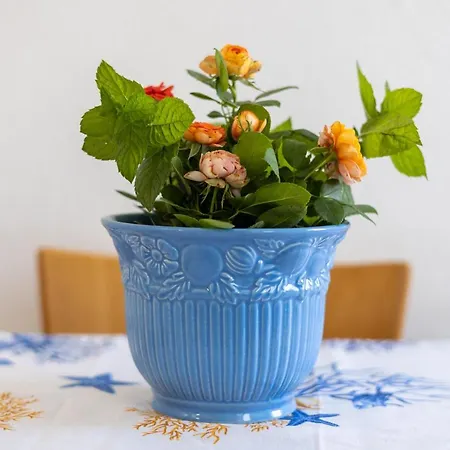 Casa Simo Prázdninový dům *